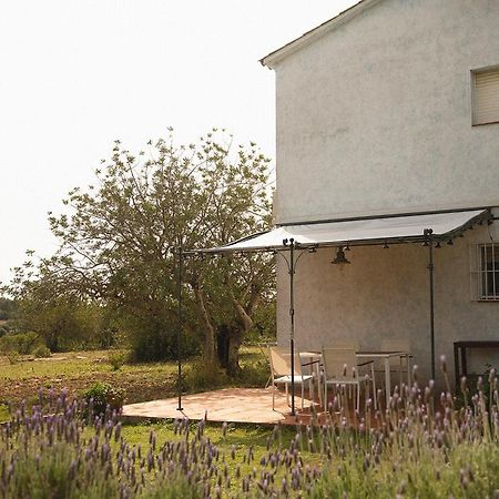 Masia Bartomeu Rural House Between Vineyards 2Km From The Beach El Vendrell Dış mekan fotoğraf